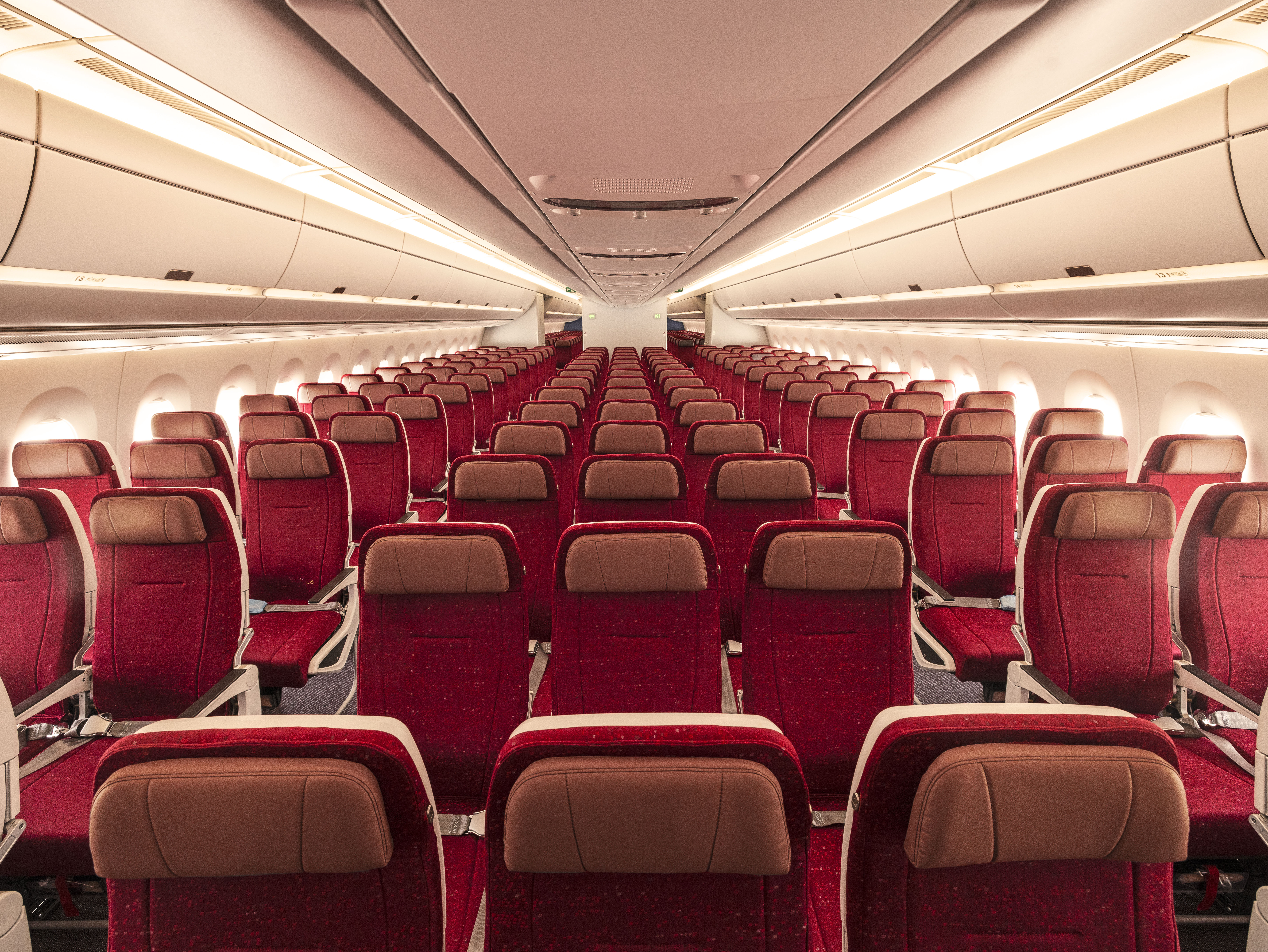 Air India aircraft with Maharaja Club emblem against an Indian skyline
