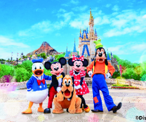 Japan attractions and activities