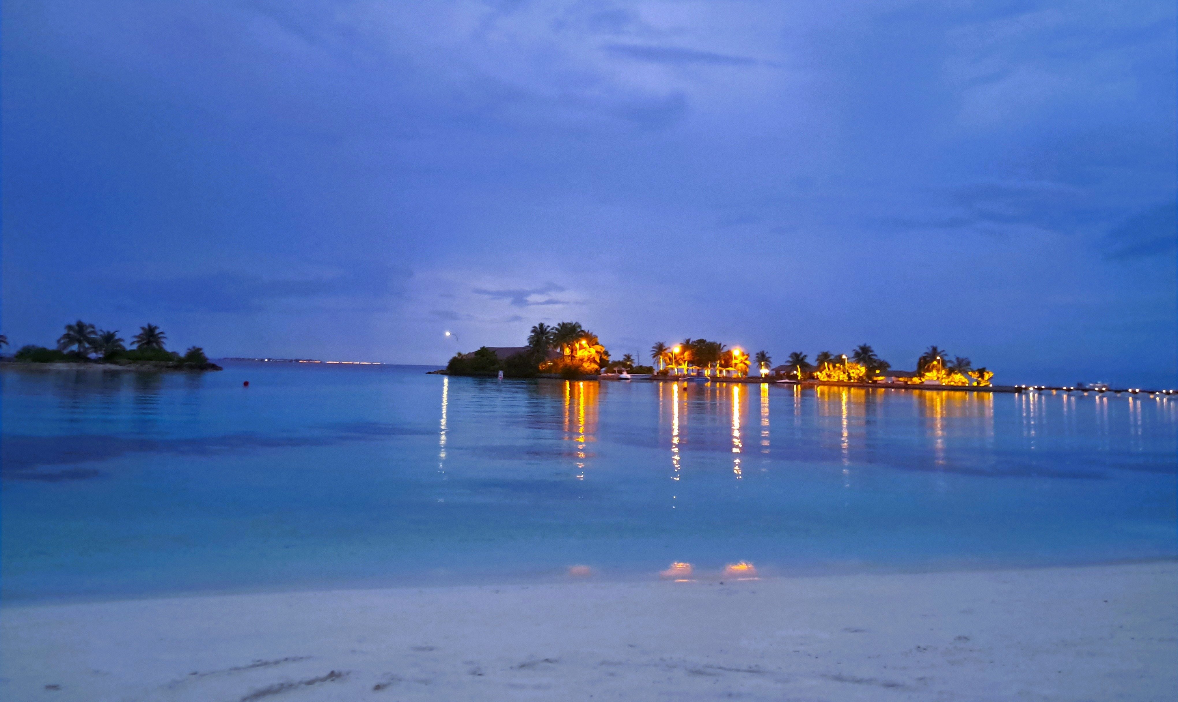 Festive breakfast table set under palm shade on a bright island morning